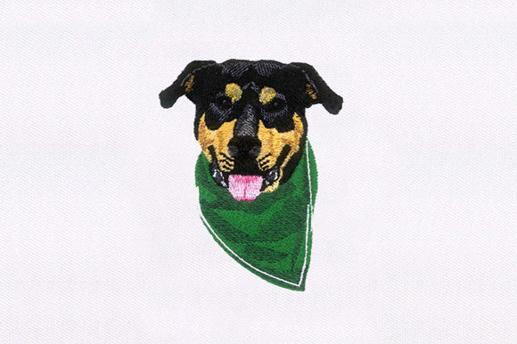 Napkin Wearing Dog