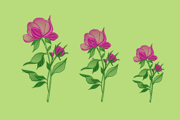 Peony: A Timeless Single Flower for Meaningful Personalized Gifts